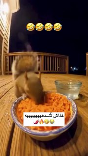 خب پدسسگگ نخورر 😂

بهترین پست‌ها در کافه بهترین👇

🆑  💯