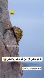 دیگه دیرهههه دیگه دیرههه🤣

‌🆔  💯