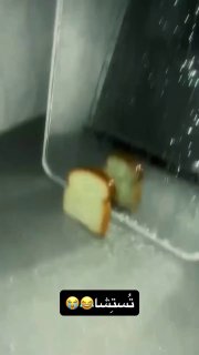 این صدا گذاری روی یه "نون تُست" تو کمتر از ۲۴ ساعت، تو اکسپلور وایرال شده😂

🆔  💯