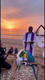 قشنگترین عروس و داماد :)

🆔  💯